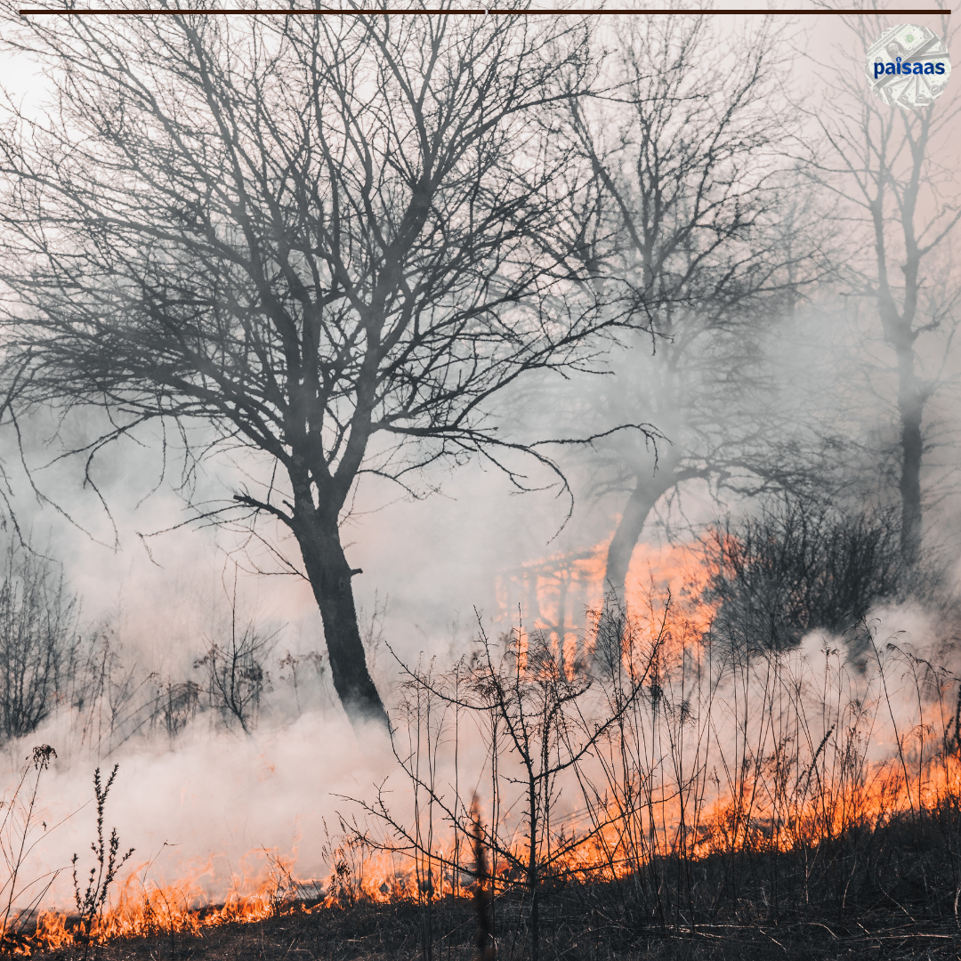 Canadian Wildfire Smoke Covers Great Lakes