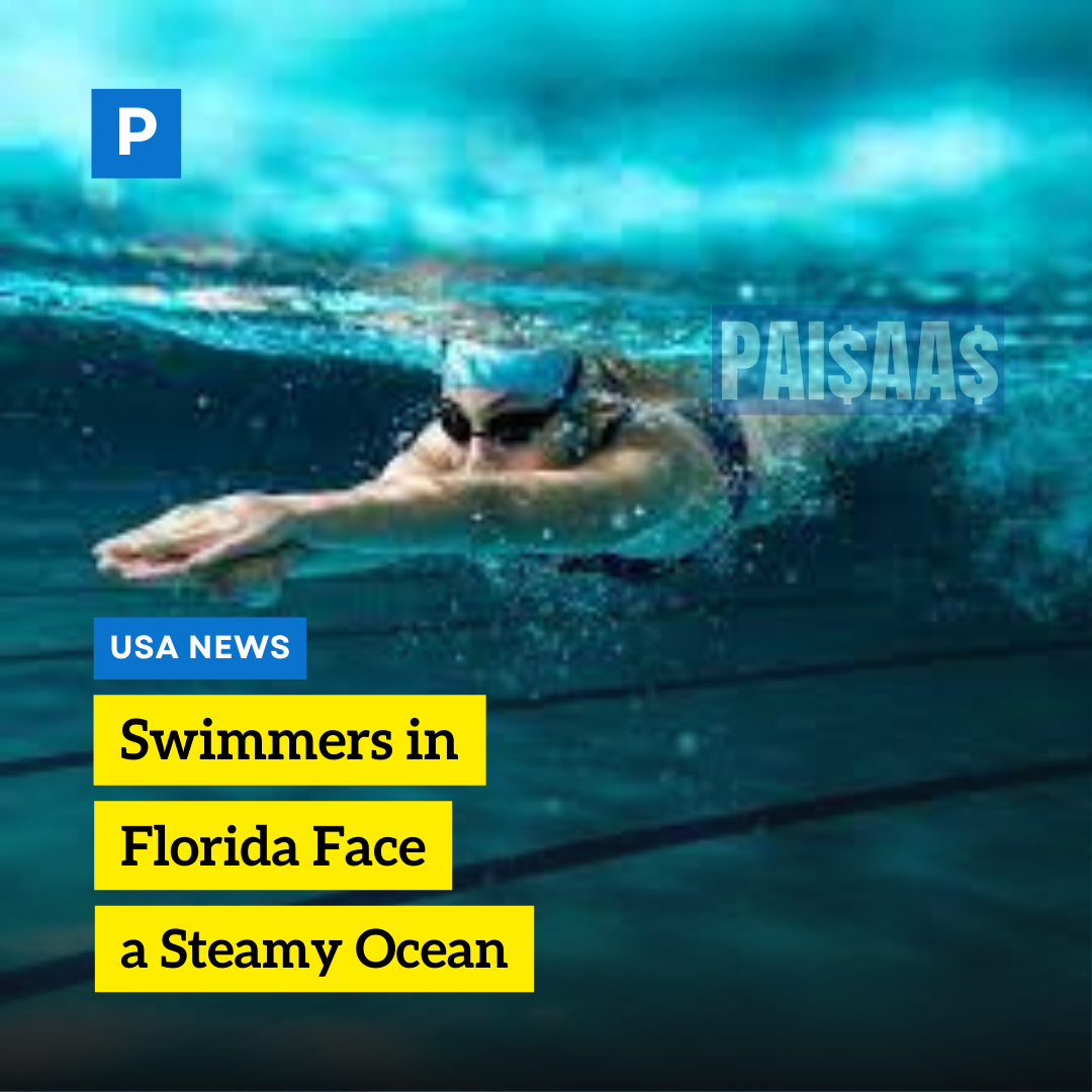 Swimmers in Florida Face a Steamy Ocean